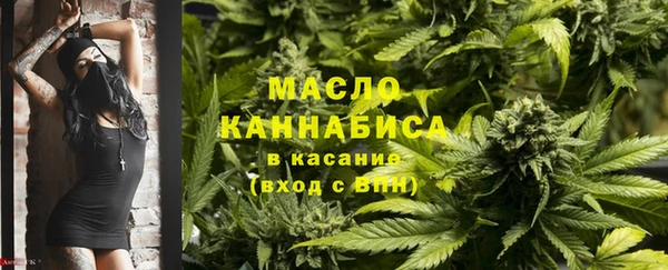 молекула духа Мегион