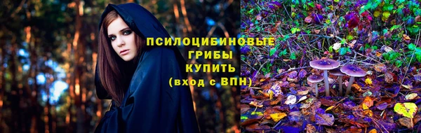 молекула духа Мегион