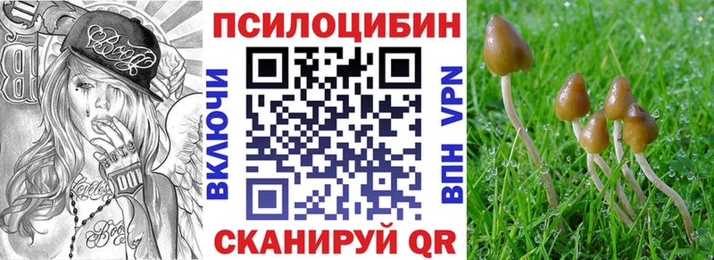 дарнет шоп  Поворино  Галлюциногенные грибы Magic Shrooms 